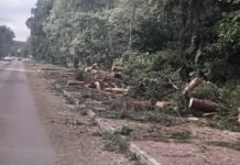 Audros padarinius Kėdainių ugniagesiai šalino ir šiandien