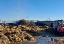 Truskavoje, prie fermų – didžiulis gaisras: nuostolis – 30 tūkst. eurų