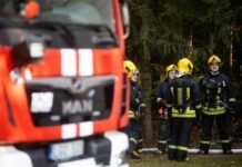 Atvykusių ugniagesių laukė netikėtumas – širšių lizdas