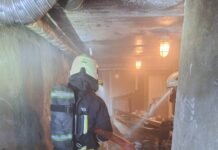 Gaisrą Truskavoje gesino Kėdainių ir Panevėžio rajono ugniagesiai: dirbo iki paryčių