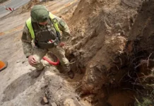 Pilionių kaime išminuotojai plušo dvi dienas: surinkta 15 sprogmenų ir daugiau nei 1 400 amunicijos dalių