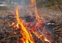 Vėl prasidėjo žolės ir kitų atliekų deginimas: ką svarbu žinoti?
