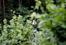 ESO žada šiandien elektrą – visiems ir perspėja apie naują audrą