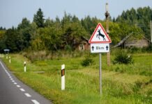 Naktį netoli Kėdainių automobilis kliudė stirną: gyvūnas nugaišo